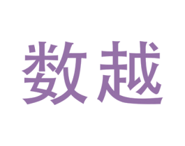 数越