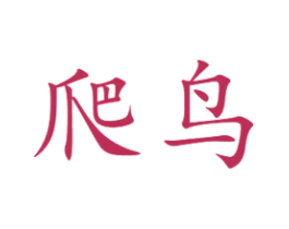 爬鸟