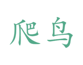 爬鸟