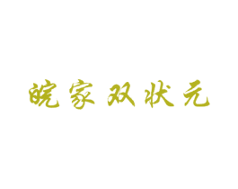 皖家双状元