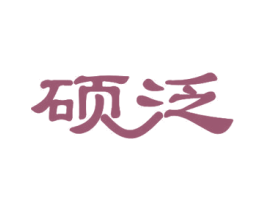 硕泛