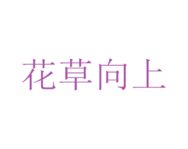 花草向上