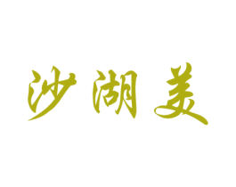 沙湖美