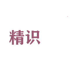 精识