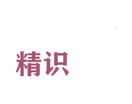 精识