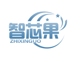 智芯果