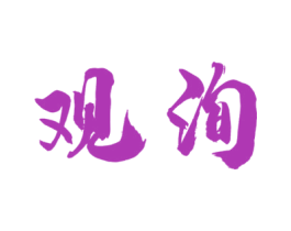 观洵