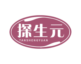 探生元