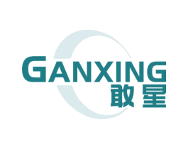 敢星