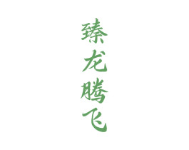 臻龙腾飞