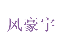 风豪宇