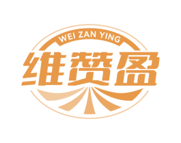 维赞盈
