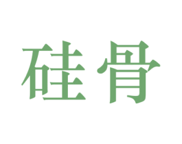 硅骨