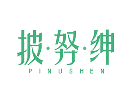 披努绅 第25类服装鞋帽商标转让 注册号48704975