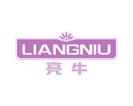 亮牛 第18类皮革箱包商标转让 注册号51212801