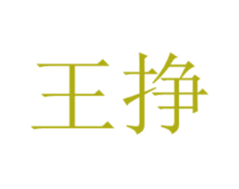 王挣