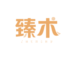 臻术