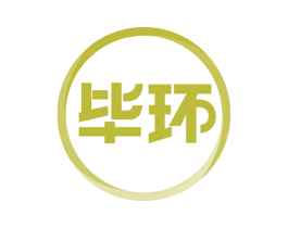 毕环
