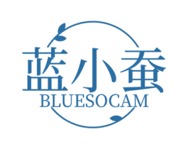 蓝小蚕