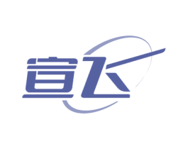 宣飞