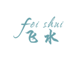 飞水