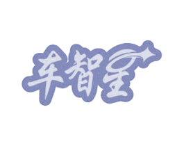 车智星