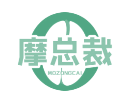 摩总裁