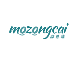 摩总裁