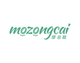 摩总裁