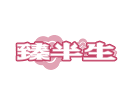 臻半生