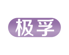 极孚