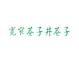 宽窄巷子井巷子