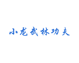 小龙武林功夫