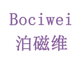 泊磁维