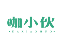 咖小伙