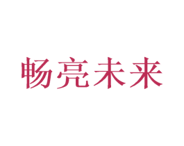 畅亮未来