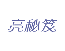 亮秘笈