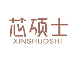 芯硕士