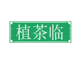 植茶临