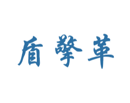盾擎革