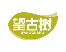 望古树