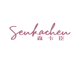 森卡臣