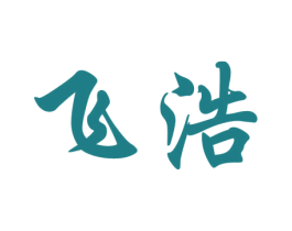 飞浩