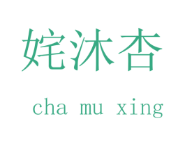姹沐杏