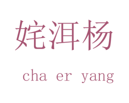 姹洱杨