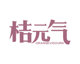 桔元气 ORANGEVIGOURN