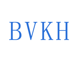 BVKH