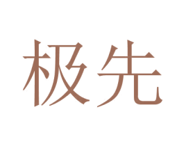 极先