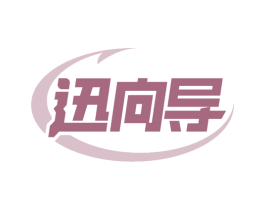 迅向导