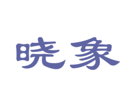 晓象